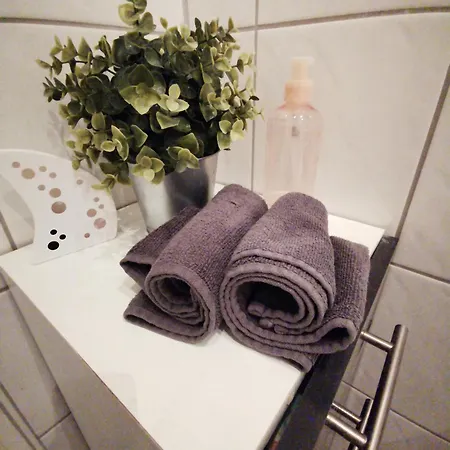 Mit Grandiosem Ausblick Fuer Bis Zu 4 Personen Appartement Frankenthal (Rhineland-Palatinate)